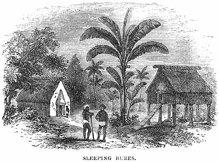 Williams wrote: "Temples, dwelling-houses, sleeping-houses, kitchens, (in Lau) inns or receiving-houses for strangers (bure ni vulagi), and yam stores, are the buildings of Fiji"