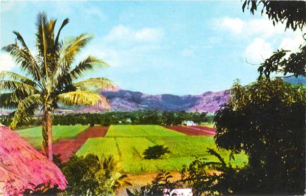 fiji crops